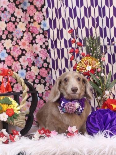 20250117ぺこちゃん